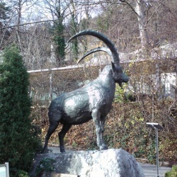 Alpenzoo
